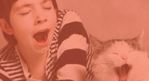 Yawning with your cat