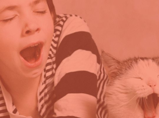 Yawning with your cat