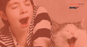 Yawning with your cat